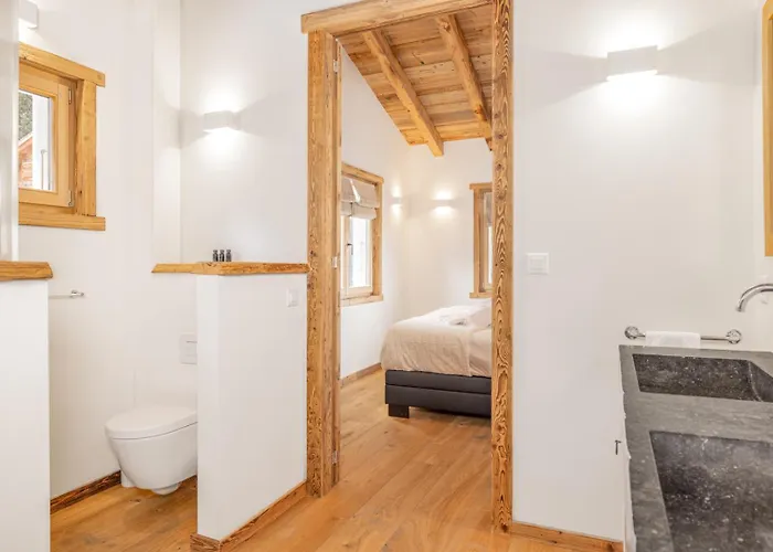 Шале Pain Seigle Riddes